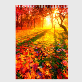 Скетчбук с принтом Осень в Новосибирске, 100% бумага
 | 48 листов, плотность листов — 100 г/м2, плотность картонной обложки — 250 г/м2. Листы скреплены сверху удобной пружинной спиралью | autumn | bright | colors | forest | trees | деревья | краски | лес | лучи | осень | солнце | цвета | яркие