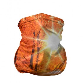 Бандана-труба 3D с принтом Осеннее солнце в Новосибирске, 100% полиэстер, ткань с особыми свойствами — Activecool | плотность 150‒180 г/м2; хорошо тянется, но сохраняет форму | autumn | bright | colors | forest | trees | деревья | дорога | краски | лес | лучи | осень | солнце | цвета | яркие
