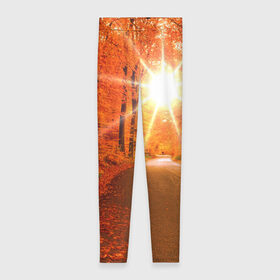 Леггинсы 3D с принтом Осеннее солнце в Новосибирске, 80% полиэстер, 20% эластан | Эластичный пояс, зауженные к низу, низкая посадка | autumn | bright | colors | forest | trees | деревья | дорога | краски | лес | лучи | осень | солнце | цвета | яркие