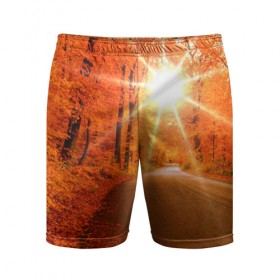 Мужские шорты 3D спортивные с принтом Осеннее солнце в Новосибирске,  |  | Тематика изображения на принте: autumn | bright | colors | forest | trees | деревья | дорога | краски | лес | лучи | осень | солнце | цвета | яркие