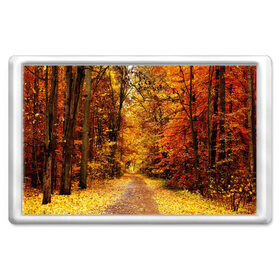 Магнит 45*70 с принтом Осень в Новосибирске, Пластик | Размер: 78*52 мм; Размер печати: 70*45 | autumn | bright | colors | forest | paint | trees | деревья | краски | лес | осень | цвета | яркие