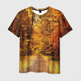 Мужская футболка 3D с принтом Осень в Новосибирске, 100% полиэфир | прямой крой, круглый вырез горловины, длина до линии бедер | autumn | bright | colors | forest | paint | trees | деревья | краски | лес | осень | цвета | яркие