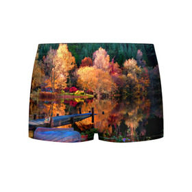 Мужские трусы 3D с принтом Осень в Новосибирске, 50% хлопок, 50% полиэстер | классическая посадка, на поясе мягкая тканевая резинка | Тематика изображения на принте: autumn | boat | bright | colors | forest | paint | river | trees | деревья | краски | лес | лодка | осень | река | цвета | яркие