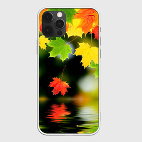 Чехол для iPhone 12 Pro Max с принтом Осень в Новосибирске, Силикон |  | Тематика изображения на принте: autumn | bright | color | forest | leaves | maple | paint | reflection | river | trees | деревья | клён | краски | лес | листья | осень | отражение | река | цвета | яркие