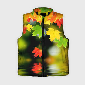 Женский жилет утепленный 3D с принтом Осень в Новосибирске,  |  | autumn | bright | color | forest | leaves | maple | paint | reflection | river | trees | деревья | клён | краски | лес | листья | осень | отражение | река | цвета | яркие