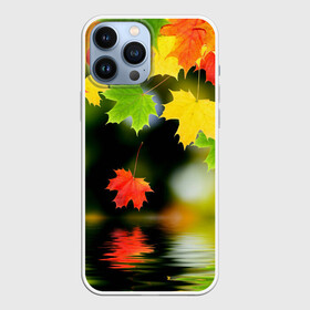 Чехол для iPhone 13 Pro Max с принтом Осень в Новосибирске,  |  | autumn | bright | color | forest | leaves | maple | paint | reflection | river | trees | деревья | клён | краски | лес | листья | осень | отражение | река | цвета | яркие