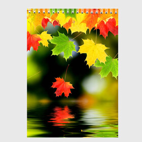 Скетчбук с принтом Осень в Новосибирске, 100% бумага
 | 48 листов, плотность листов — 100 г/м2, плотность картонной обложки — 250 г/м2. Листы скреплены сверху удобной пружинной спиралью | autumn | bright | color | forest | leaves | maple | paint | reflection | river | trees | деревья | клён | краски | лес | листья | осень | отражение | река | цвета | яркие