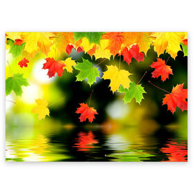 Поздравительная открытка с принтом Осень в Новосибирске, 100% бумага | плотность бумаги 280 г/м2, матовая, на обратной стороне линовка и место для марки
 | autumn | bright | color | forest | leaves | maple | paint | reflection | river | trees | деревья | клён | краски | лес | листья | осень | отражение | река | цвета | яркие