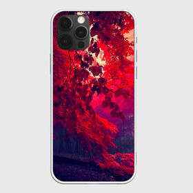 Чехол для iPhone 12 Pro Max с принтом Осень в Новосибирске, Силикон |  | Тематика изображения на принте: autumn | bright | colors | forest | trees | деревья | краски | лес | лучи | осень | солнце | цвета | яркие