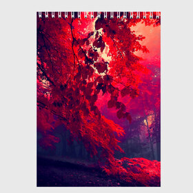 Скетчбук с принтом Осень в Новосибирске, 100% бумага
 | 48 листов, плотность листов — 100 г/м2, плотность картонной обложки — 250 г/м2. Листы скреплены сверху удобной пружинной спиралью | autumn | bright | colors | forest | trees | деревья | краски | лес | лучи | осень | солнце | цвета | яркие