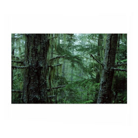 Бумага для упаковки 3D с принтом Дремучий лес в Новосибирске, пластик и полированная сталь | круглая форма, металлическое крепление в виде кольца | Тематика изображения на принте: camouflage | dense | fog | forest | spruce | tree | дремучий | ёлка | ельник | камуфляж | лес | маскировка | туман