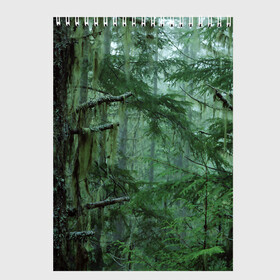 Скетчбук с принтом Дремучий лес в Новосибирске, 100% бумага
 | 48 листов, плотность листов — 100 г/м2, плотность картонной обложки — 250 г/м2. Листы скреплены сверху удобной пружинной спиралью | Тематика изображения на принте: camouflage | dense | fog | forest | spruce | tree | дремучий | ёлка | ельник | камуфляж | лес | маскировка | туман