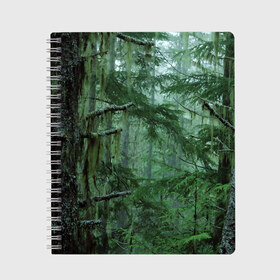 Тетрадь с принтом Дремучий лес в Новосибирске, 100% бумага | 48 листов, плотность листов — 60 г/м2, плотность картонной обложки — 250 г/м2. Листы скреплены сбоку удобной пружинной спиралью. Уголки страниц и обложки скругленные. Цвет линий — светло-серый
 | Тематика изображения на принте: camouflage | dense | fog | forest | spruce | tree | дремучий | ёлка | ельник | камуфляж | лес | маскировка | туман