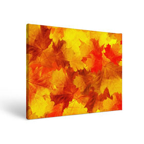 Холст прямоугольный с принтом Осень в Новосибирске, 100% ПВХ |  | autumn | bright | color | forest | leaves | maple | paint | trees | деревья | клен | краски | лес | листья | осень | цвета | яркие
