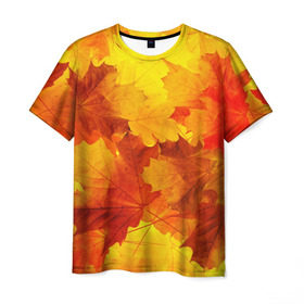 Мужская футболка 3D с принтом Осень в Новосибирске, 100% полиэфир | прямой крой, круглый вырез горловины, длина до линии бедер | autumn | bright | color | forest | leaves | maple | paint | trees | деревья | клен | краски | лес | листья | осень | цвета | яркие