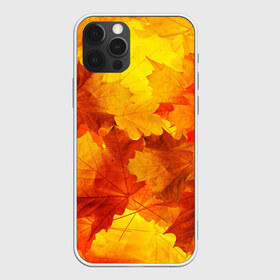 Чехол для iPhone 12 Pro Max с принтом Осень в Новосибирске, Силикон |  | autumn | bright | color | forest | leaves | maple | paint | trees | деревья | клен | краски | лес | листья | осень | цвета | яркие