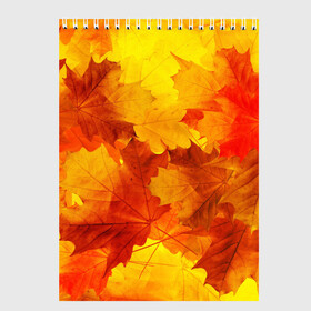 Скетчбук с принтом Осень в Новосибирске, 100% бумага
 | 48 листов, плотность листов — 100 г/м2, плотность картонной обложки — 250 г/м2. Листы скреплены сверху удобной пружинной спиралью | autumn | bright | color | forest | leaves | maple | paint | trees | деревья | клен | краски | лес | листья | осень | цвета | яркие