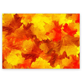 Поздравительная открытка с принтом Осень в Новосибирске, 100% бумага | плотность бумаги 280 г/м2, матовая, на обратной стороне линовка и место для марки
 | autumn | bright | color | forest | leaves | maple | paint | trees | деревья | клен | краски | лес | листья | осень | цвета | яркие