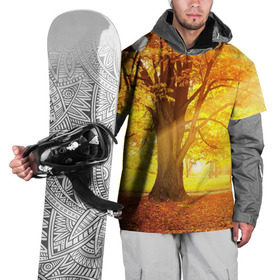 Накидка на куртку 3D с принтом Осень в Новосибирске, 100% полиэстер |  | Тематика изображения на принте: autumn | bright | colors | forest | paint | trees | деревья | краски | лес | осень | цвета | яркие