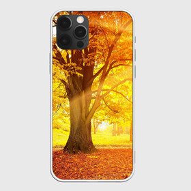 Чехол для iPhone 12 Pro Max с принтом Осень в Новосибирске, Силикон |  | autumn | bright | colors | forest | paint | trees | деревья | краски | лес | осень | цвета | яркие