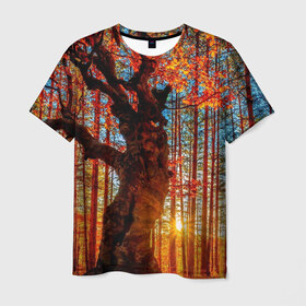 Мужская футболка 3D с принтом Осень в Новосибирске, 100% полиэфир | прямой крой, круглый вырез горловины, длина до линии бедер | autumn | bright | colors | forest | trees | деревья | краски | лес | лучи | осень | солнце | цвета | яркие