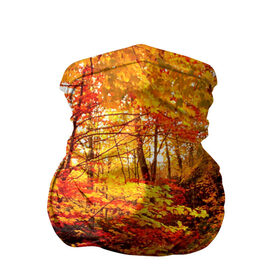 Бандана-труба 3D с принтом Осень в Новосибирске, 100% полиэстер, ткань с особыми свойствами — Activecool | плотность 150‒180 г/м2; хорошо тянется, но сохраняет форму | Тематика изображения на принте: autumn | bright | colors | forest | paint | trees | деревья | краски | лес | осень | цвета | яркие