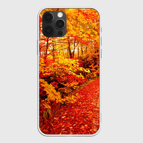 Чехол для iPhone 12 Pro Max с принтом Осень в Новосибирске, Силикон |  | Тематика изображения на принте: autumn | bright | colors | forest | paint | trees | деревья | краски | лес | осень | цвета | яркие