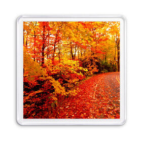 Магнит 55*55 с принтом Осень в Новосибирске, Пластик | Размер: 65*65 мм; Размер печати: 55*55 мм | autumn | bright | colors | forest | paint | trees | деревья | краски | лес | осень | цвета | яркие