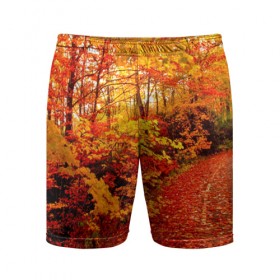 Мужские шорты 3D спортивные с принтом Осень в Новосибирске,  |  | autumn | bright | colors | forest | paint | trees | деревья | краски | лес | осень | цвета | яркие