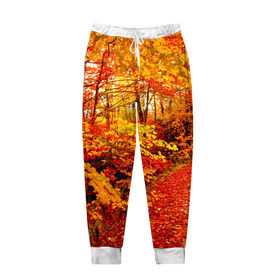 Мужские брюки 3D с принтом Осень в Новосибирске, 100% полиэстер | манжеты по низу, эластичный пояс регулируется шнурком, по бокам два кармана без застежек, внутренняя часть кармана из мелкой сетки | autumn | bright | colors | forest | paint | trees | деревья | краски | лес | осень | цвета | яркие