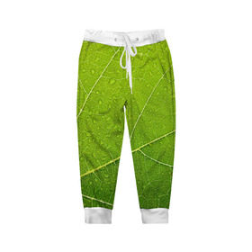 Детские брюки 3D с принтом Листик 2 в Новосибирске, 100% полиэстер | манжеты по низу, эластичный пояс регулируется шнурком, по бокам два кармана без застежек, внутренняя часть кармана из мелкой сетки | зеленый | зелень | лист | природа | растения