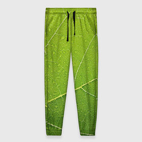 Женские брюки 3D с принтом Листик 2 в Новосибирске, полиэстер 100% | прямой крой, два кармана без застежек по бокам, с мягкой трикотажной резинкой на поясе и по низу штанин. В поясе для дополнительного комфорта — широкие завязки | зеленый | зелень | лист | природа | растения