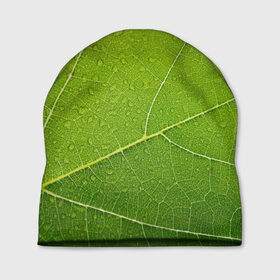 Шапка 3D с принтом Листик 2 в Новосибирске, 100% полиэстер | универсальный размер, печать по всей поверхности изделия | зеленый | зелень | лист | природа | растения