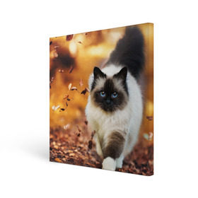 Холст квадратный с принтом Котик в листьях в Новосибирске, 100% ПВХ |  | грация | кот | котик | кошка | листья | осень