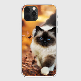 Чехол для iPhone 12 Pro Max с принтом Котик в листьях в Новосибирске, Силикон |  | грация | кот | котик | кошка | листья | осень