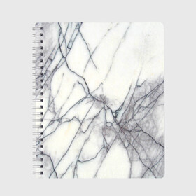 Тетрадь с принтом Белый мрамор в Новосибирске, 100% бумага | 48 листов, плотность листов — 60 г/м2, плотность картонной обложки — 250 г/м2. Листы скреплены сбоку удобной пружинной спиралью. Уголки страниц и обложки скругленные. Цвет линий — светло-серый
 | каменный | камень
