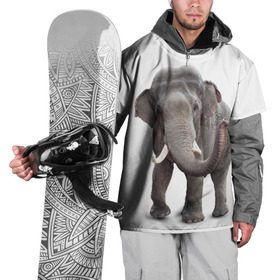 Накидка на куртку 3D с принтом Слон VPPDGryphon в Новосибирске, 100% полиэстер |  | luxury | premium | vip | vppdgryphon | премиум | слон | эксклюзив