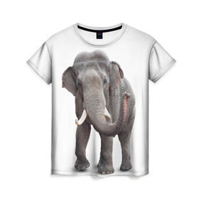 Женская футболка 3D с принтом Слон VPPDGryphon в Новосибирске, 100% полиэфир ( синтетическое хлопкоподобное полотно) | прямой крой, круглый вырез горловины, длина до линии бедер | luxury | premium | vip | vppdgryphon | премиум | слон | эксклюзив
