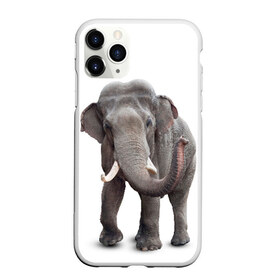 Чехол для iPhone 11 Pro матовый с принтом Слон VPPDGryphon в Новосибирске, Силикон |  | luxury | premium | vip | vppdgryphon | премиум | слон | эксклюзив
