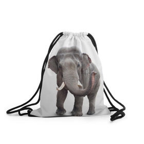 Рюкзак-мешок 3D с принтом Слон VPPDGryphon в Новосибирске, 100% полиэстер | плотность ткани — 200 г/м2, размер — 35 х 45 см; лямки — толстые шнурки, застежка на шнуровке, без карманов и подкладки | luxury | premium | vip | vppdgryphon | премиум | слон | эксклюзив