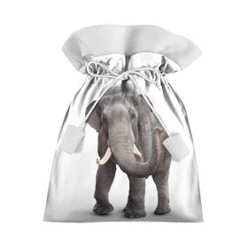 Подарочный 3D мешок с принтом Слон VPPDGryphon в Новосибирске, 100% полиэстер | Размер: 29*39 см | luxury | premium | vip | vppdgryphon | премиум | слон | эксклюзив