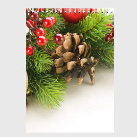 Скетчбук с принтом Дуx рождества в Новосибирске, 100% бумага
 | 48 листов, плотность листов — 100 г/м2, плотность картонной обложки — 250 г/м2. Листы скреплены сверху удобной пружинной спиралью | 2017 | год | зима | новинки | новый | петух | популярное | праздник | символ | снег