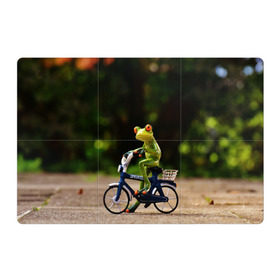 Магнитный плакат 3Х2 с принтом Лягушка в Новосибирске, Полимерный материал с магнитным слоем | 6 деталей размером 9*9 см | Тематика изображения на принте: велосипед | жаба | животные | лягушка | мини | фигурка