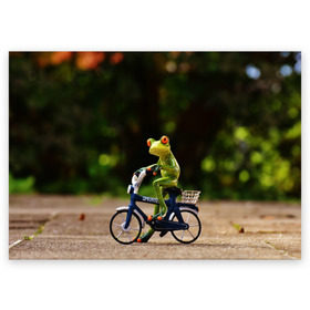 Поздравительная открытка с принтом Лягушка в Новосибирске, 100% бумага | плотность бумаги 280 г/м2, матовая, на обратной стороне линовка и место для марки
 | Тематика изображения на принте: велосипед | жаба | животные | лягушка | мини | фигурка