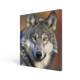 Холст квадратный с принтом Волк в Новосибирске, 100% ПВХ |  | волк | волки | волчата | волчонок | хищник