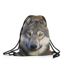 Рюкзак-мешок 3D с принтом Волк в Новосибирске, 100% полиэстер | плотность ткани — 200 г/м2, размер — 35 х 45 см; лямки — толстые шнурки, застежка на шнуровке, без карманов и подкладки | волк | волки | волчата | волчонок | хищник