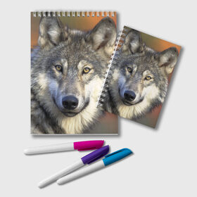 Блокнот с принтом Волк в Новосибирске, 100% бумага | 48 листов, плотность листов — 60 г/м2, плотность картонной обложки — 250 г/м2. Листы скреплены удобной пружинной спиралью. Цвет линий — светло-серый
 | волк | волки | волчата | волчонок | хищник