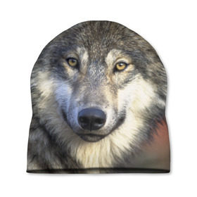 Шапка 3D с принтом Волк в Новосибирске, 100% полиэстер | универсальный размер, печать по всей поверхности изделия | волк | волки | волчата | волчонок | хищник