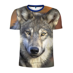 Мужская футболка 3D спортивная с принтом Волк в Новосибирске, 100% полиэстер с улучшенными характеристиками | приталенный силуэт, круглая горловина, широкие плечи, сужается к линии бедра | волк | волки | волчата | волчонок | хищник