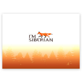 Поздравительная открытка с принтом Я из Сибири в Новосибирске, 100% бумага | плотность бумаги 280 г/м2, матовая, на обратной стороне линовка и место для марки
 | siberia | лес | лиса | приключения | россия | сибирь | тайга | туризм | холод | экстрим